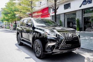 Xe Lexus GX 460 2019